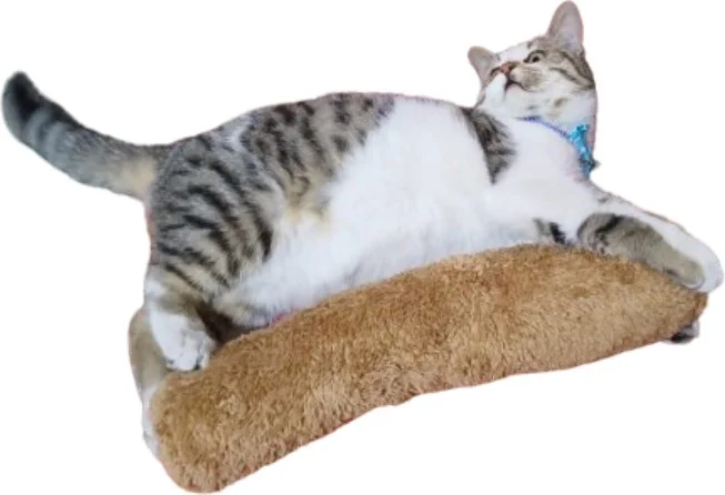 Tineke Cat Toy Hugging Pillow Sleeping Toy Cat Grass 30 cm Plush (1 Piece
