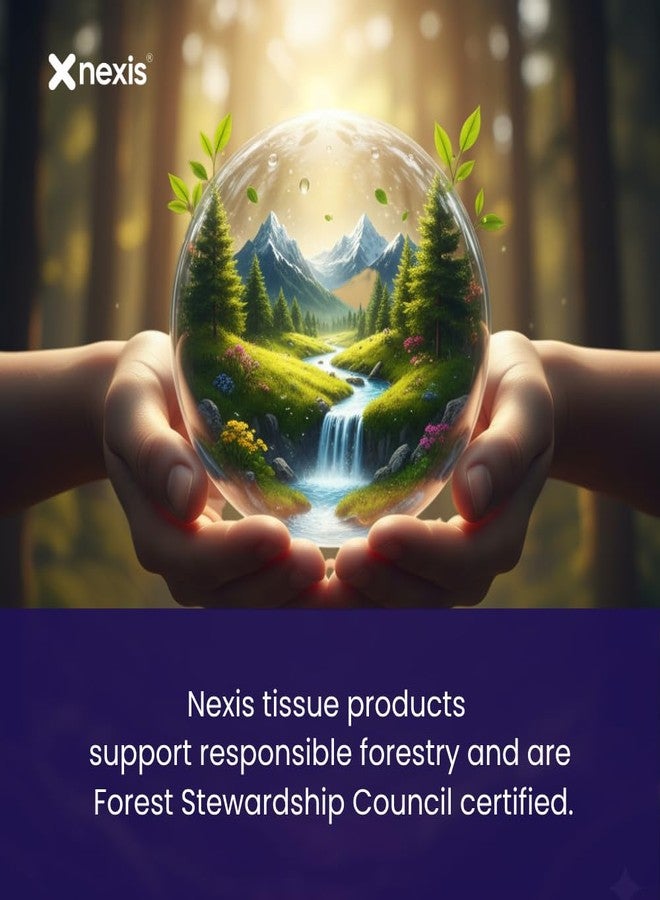 NEXIS || 2-Ply Facial Tissue Paper Box || 800 Sheets || 100 Pulls x 4 Boxes || Car Tissue || Soft And Highly Absorbent || 100% Natural Virgin Fibre || Pack of 4 - Image 3