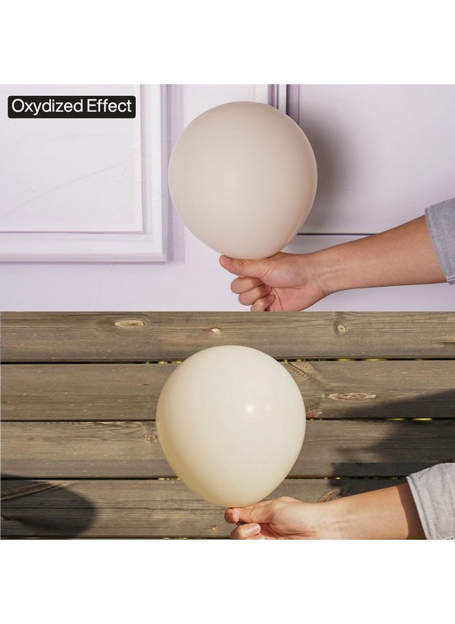 PartyWoo White Sand Balloons, 100 Pcs Boho White Balloons Different Sizes Pack Of 18 Inch 12 Inch 10 Inch 5 Inch Sand White Balloons For Balloon Garland Balloon Arch As Party Decorations, White-F12  - Image 5