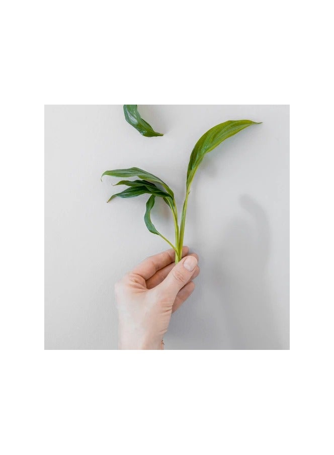 Arkopharma Stop Repel Hair Spray 100ml - Image 4