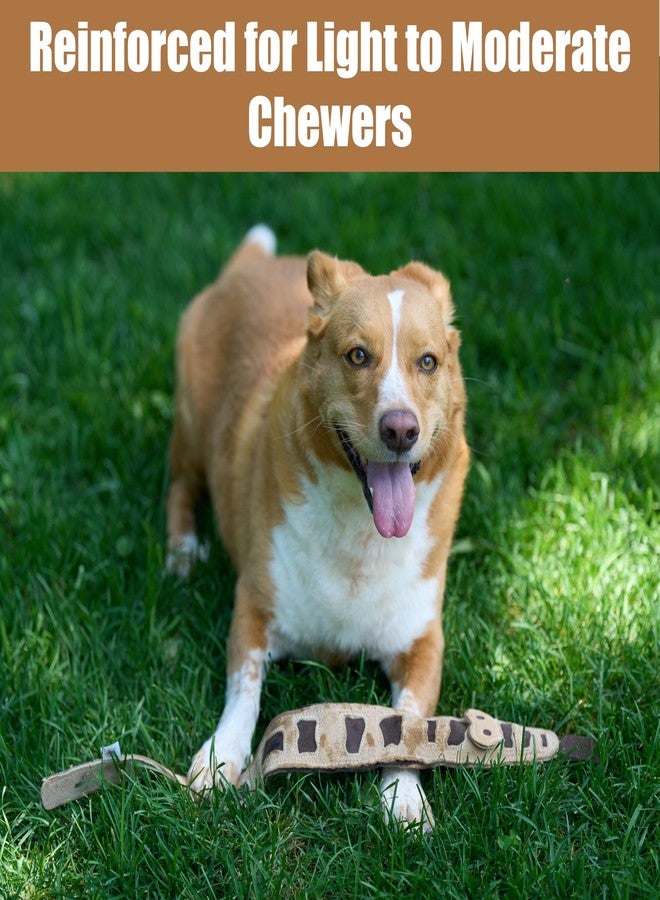 SPOT Skinneeez Leather Snake - 25in Stuffing-Free Dog Toy with Real Leather & 4 Squeakers, Durable Tug Toy for Light to Moderate Chewers, Great for Medium & Large Dogs - Image 4