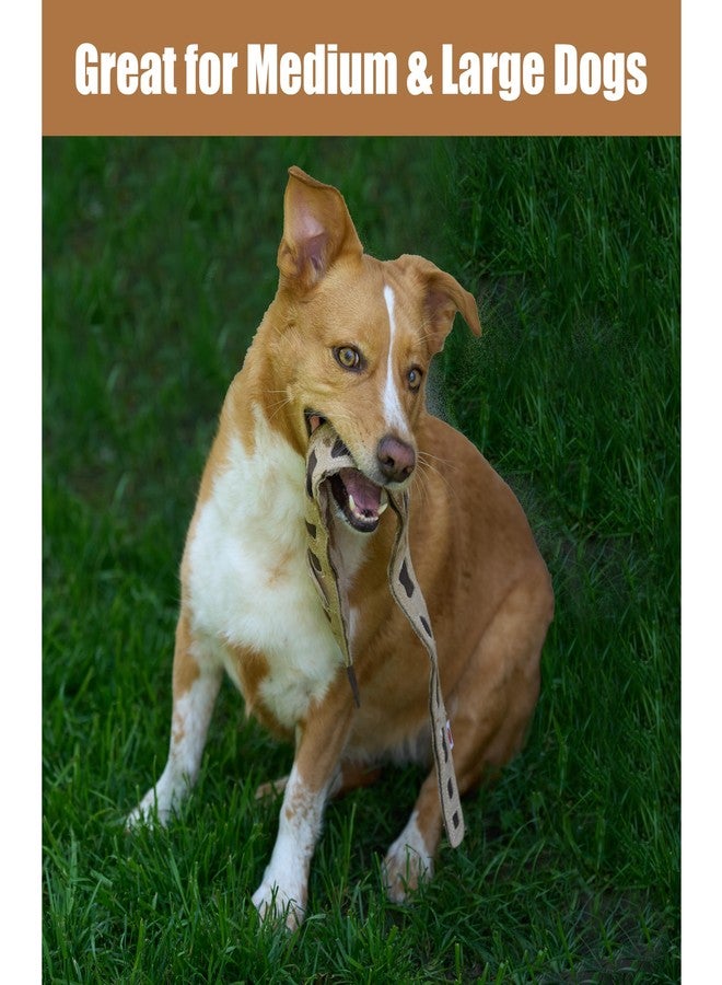 SPOT Skinneeez Leather Snake - 25in Stuffing-Free Dog Toy with Real Leather & 4 Squeakers, Durable Tug Toy for Light to Moderate Chewers, Great for Medium & Large Dogs - Image 3