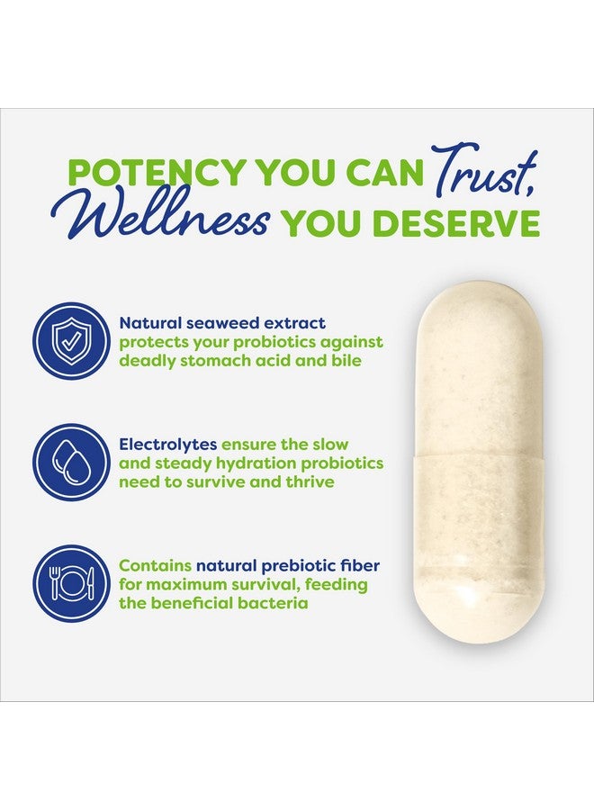 Probulin Daily Care Probiotic Supplement, Digestive, Gut, and Immune Health Support Capsules for Men and Women, 10 Billion CFU, Vegan, 90 Count Bottle - Image 5