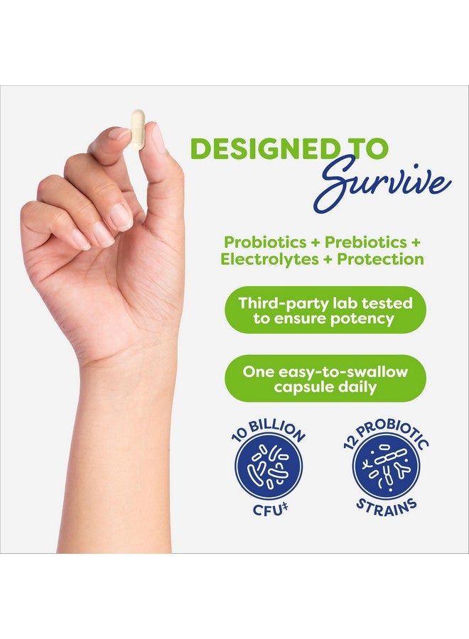 Probulin Daily Care Probiotic Supplement, Digestive, Gut, and Immune Health Support Capsules for Men and Women, 10 Billion CFU, Vegan, 90 Count Bottle - Image 4