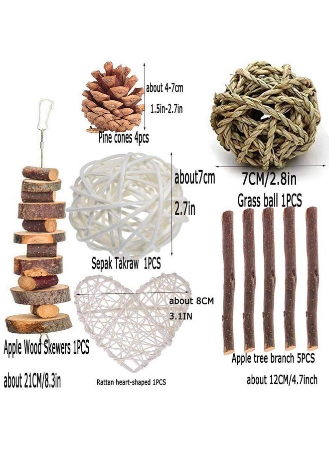 ANDES Rabbit Chew Toys, Pet Bunny Tooth Chew Toys Organic Natural Apple Wood Grass Cake Ideal for Bunny, Chinchilla, Guinea Pigs, Hamsters Teeth Grinding, Bird Exercise Molar (13PCS) - Image 2