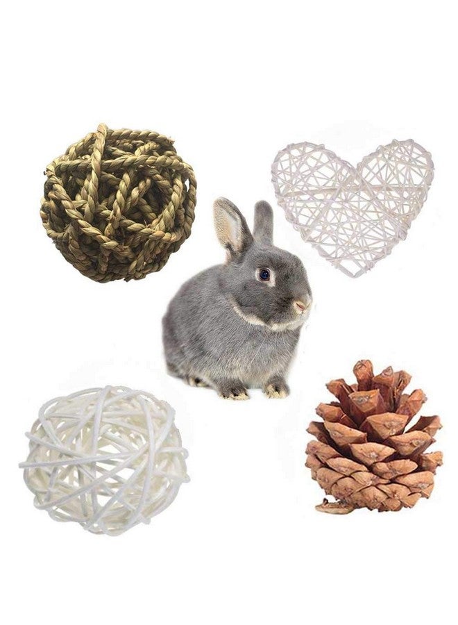 ANDES Rabbit Chew Toys, Pet Bunny Tooth Chew Toys Organic Natural Apple Wood Grass Cake Ideal for Bunny, Chinchilla, Guinea Pigs, Hamsters Teeth Grinding, Bird Exercise Molar (13PCS) - Image 3
