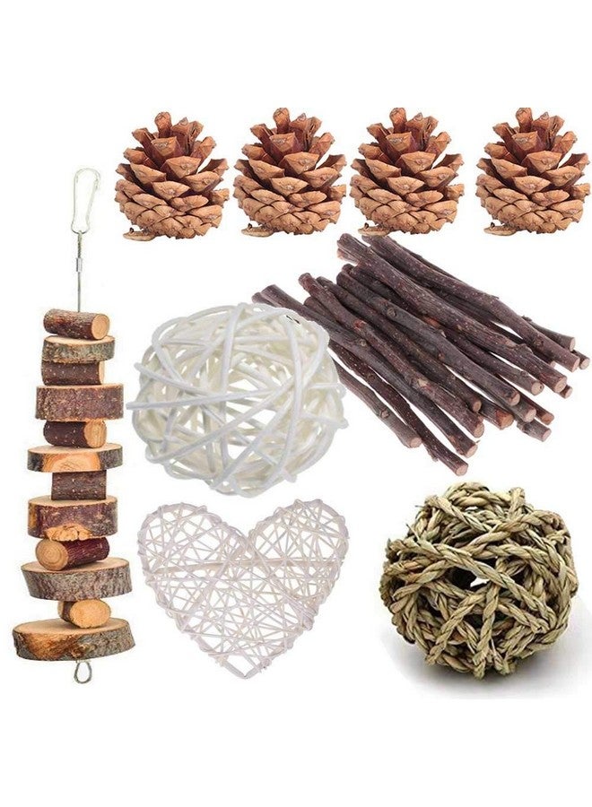 ANDES Rabbit Chew Toys, Pet Bunny Tooth Chew Toys Organic Natural Apple Wood Grass Cake Ideal for Bunny, Chinchilla, Guinea Pigs, Hamsters Teeth Grinding, Bird Exercise Molar (13PCS) - Image 1