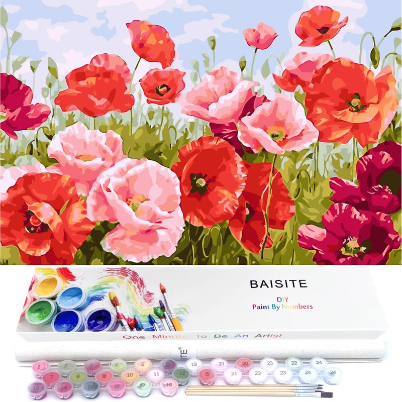 BAISITE Paint by Numbers Kit for Adults Beginners,20" Wx16 L Canvas for Painting Kits for Adults in Colorful Box Poppy Flowers-BSC001 - Image 1