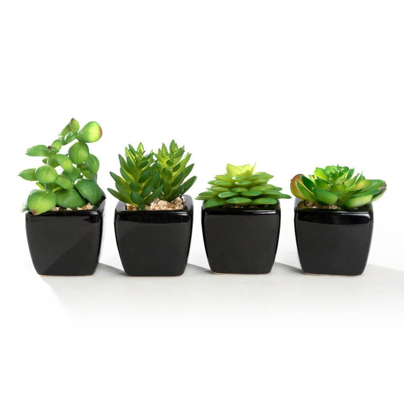 Nattol Nattol Modern Mini Artificial Succulent Plants Potted in CubeShape Black Ceramic Pots for Home Decor Set of 4 
