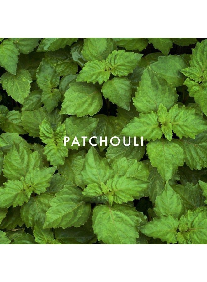 ALFRED SUNG عطر ألفريد سونغ للرجال، هوم أو دو تواليت بخاخ، 3.4 أونصة سائلة - Image 3