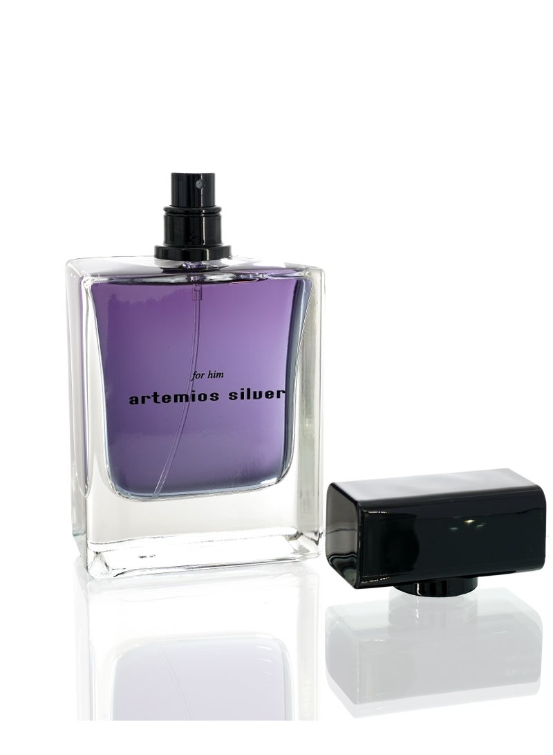 ARTEMIOS SILVER FOR HIM 100ML EDP - Image 2
