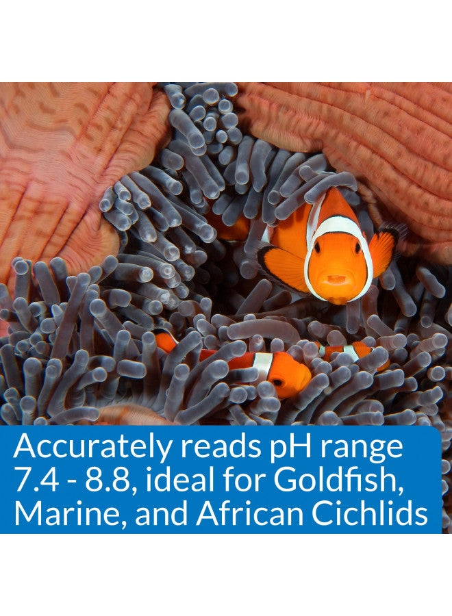 API API HIGH RANGE PH TEST KIT 160-Test Freshwater and Saltwater Aquarium Water Test Kit, 150-watt halogen bulb  - Image 5