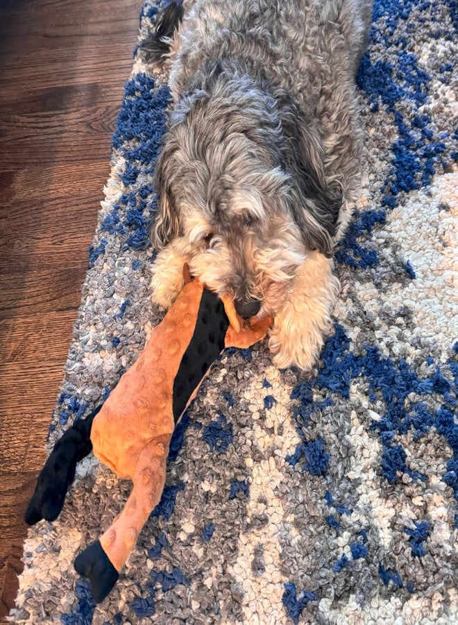 سبوت لعبة SPOT Skinneeez Extreme Stuffers على شكل بقرة - لعبة كلاب بدون حشو مع صفارة وبطانة شبكية مقاومة للتمزق لمزيد من المتانة - يمكن إدخال زجاجة بلاستيكية لمزيد من القرمشة، مناسبة للجراء والكلاب الصغيرة والمتوسطة الحجم - 14 بوصة - Image 4