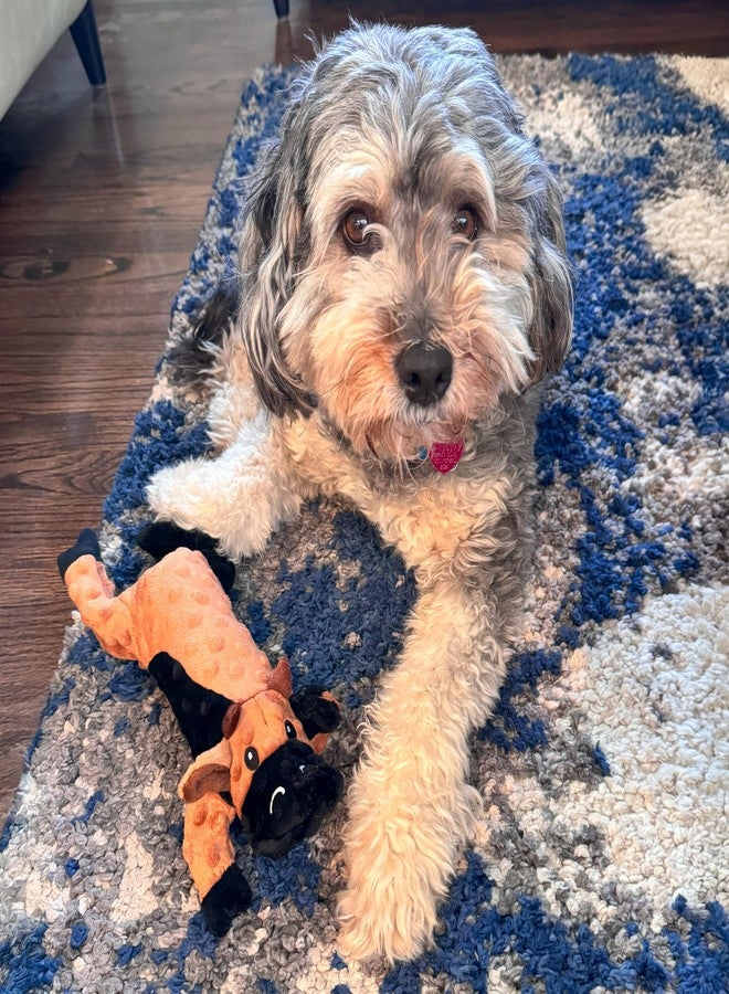 سبوت لعبة SPOT Skinneeez Extreme Stuffers على شكل بقرة - لعبة كلاب بدون حشو مع صفارة وبطانة شبكية مقاومة للتمزق لمزيد من المتانة - يمكن إدخال زجاجة بلاستيكية لمزيد من القرمشة، مناسبة للجراء والكلاب الصغيرة والمتوسطة الحجم - 14 بوصة - Image 3