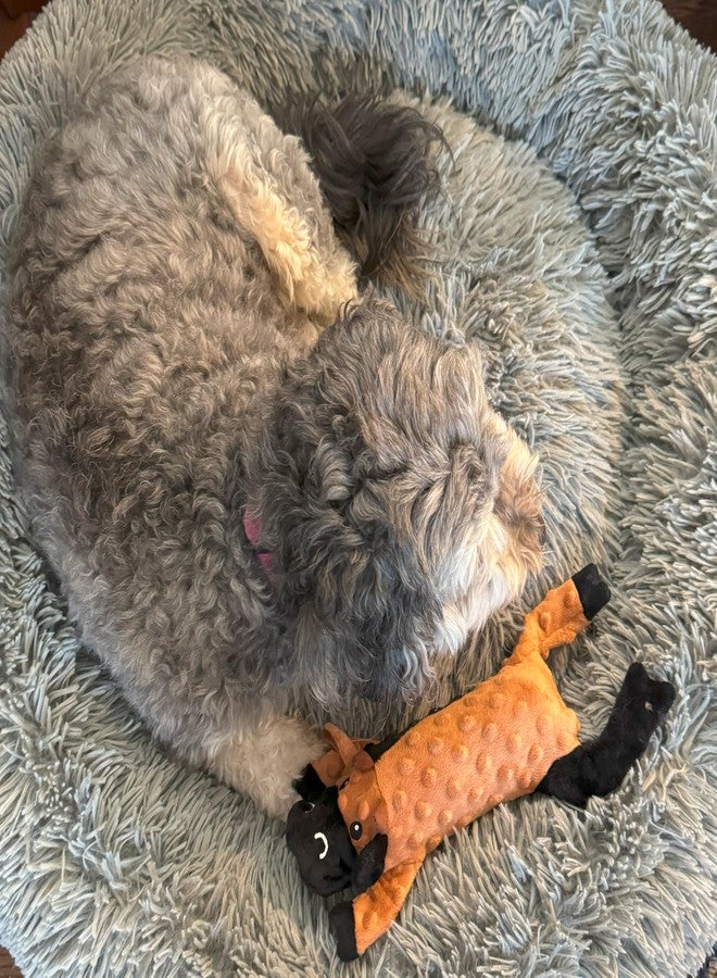 سبوت لعبة SPOT Skinneeez Extreme Stuffers على شكل بقرة - لعبة كلاب بدون حشو مع صفارة وبطانة شبكية مقاومة للتمزق لمزيد من المتانة - يمكن إدخال زجاجة بلاستيكية لمزيد من القرمشة، مناسبة للجراء والكلاب الصغيرة والمتوسطة الحجم - 14 بوصة - Image 5