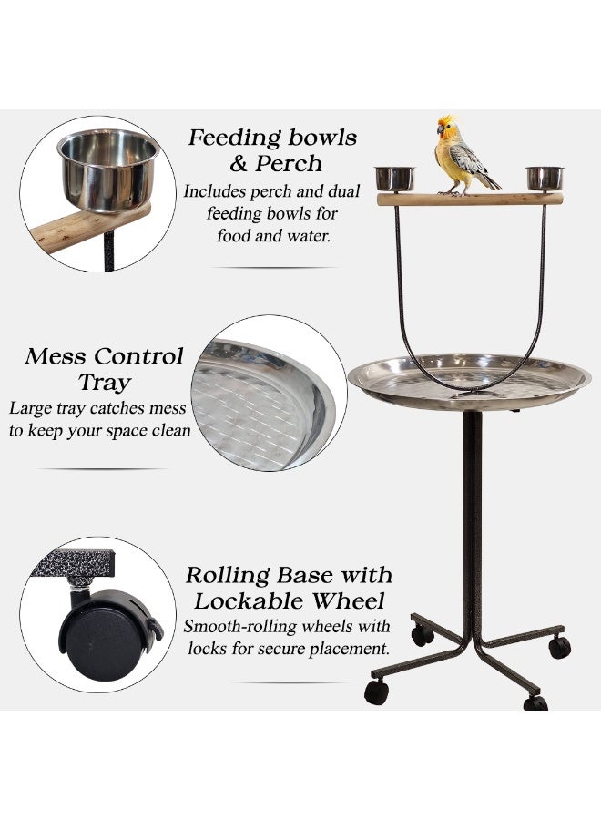 NNC PETS Parrot play stand with Rolling wheels, Ideal for Medium to Large birds, Indoor-Outdoor use, Viewing and Interactive Play, 130 cm Bird stand with Mess Tray, Feeding bowls, and Perch (Grey) - Image 3