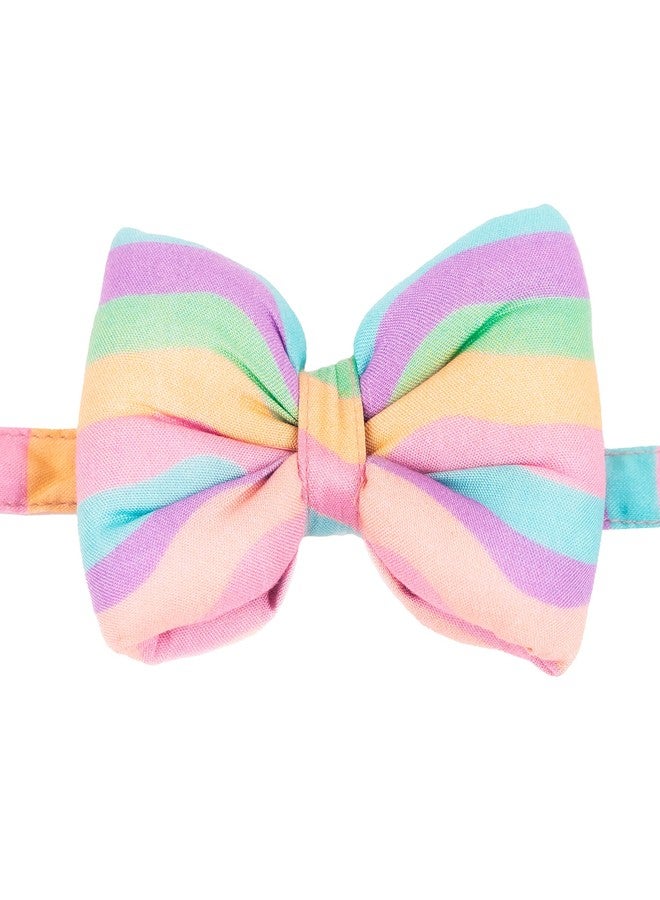 Mutt of Course Marshmallow Rainbow Bow(L) - Image 1