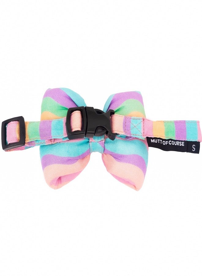 Mutt of Course Marshmallow Rainbow Bow(L) - Image 2