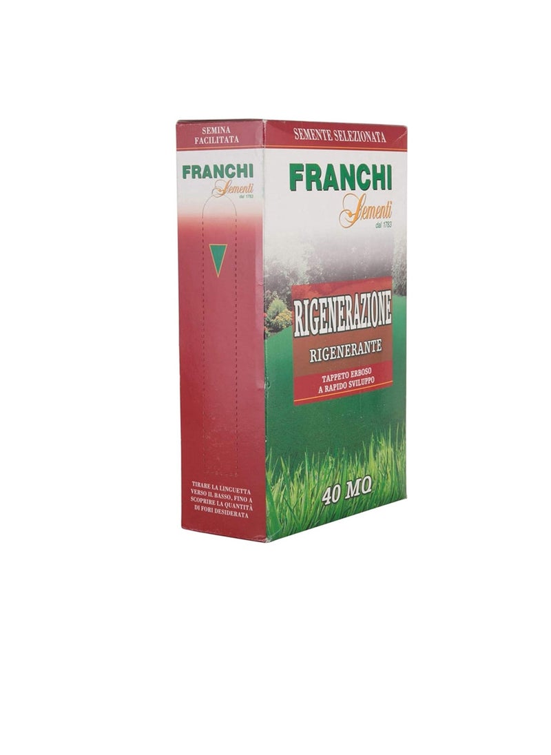 Franchi - Franchi Grass Seeds, Grows in Extreme Conditions Including Full Sun and Dense Shade - Image 1