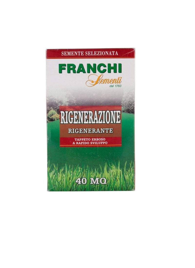 Franchi - Franchi Grass Seeds, Grows in Extreme Conditions Including Full Sun and Dense Shade - Image 1