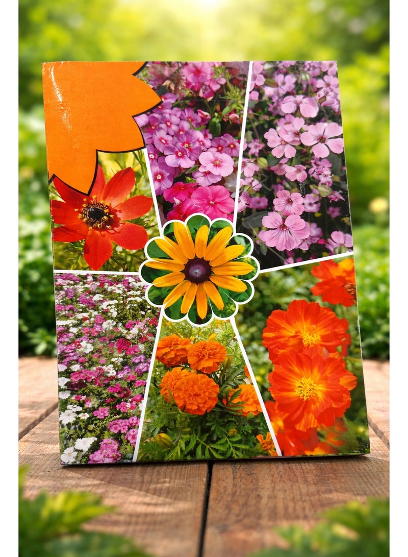 vsell24 PACK OF 3 Mixed Flower Seeds for Garden – Multi Color Blooming Flowers for Home Garden & Outdoor Planting - Image 1