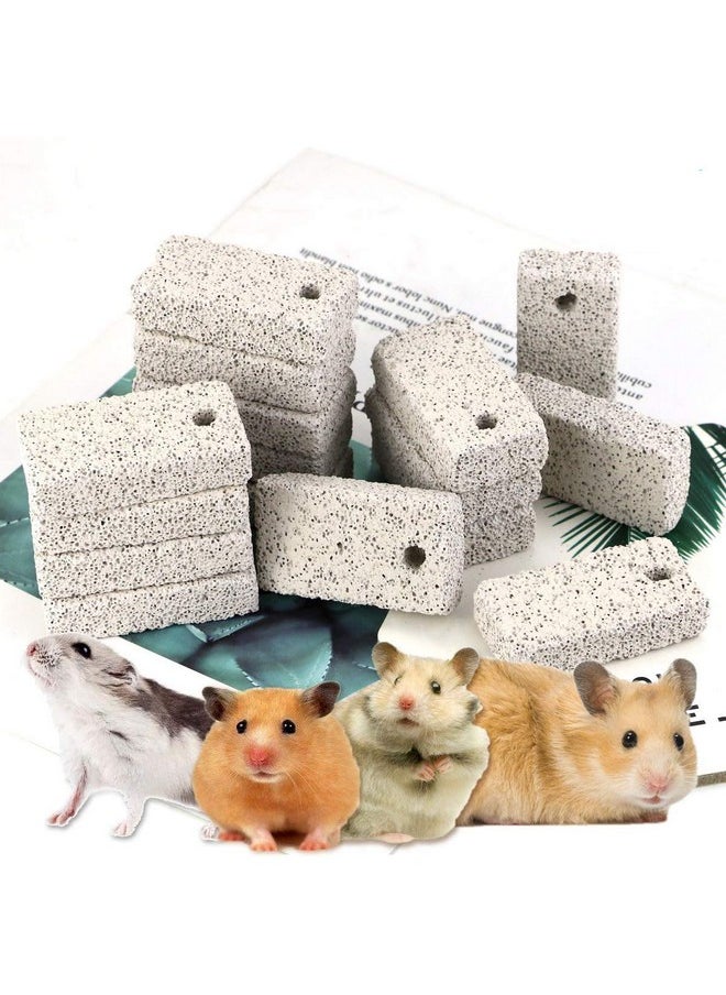 Newbested Newbested 20 Pcs Small Animal Pet Lava Bites Chews Toy Teeth Grinding Block Mineral Calcium Stone for Hamsters Parrot Chinchillas Rabbits  - Image 1