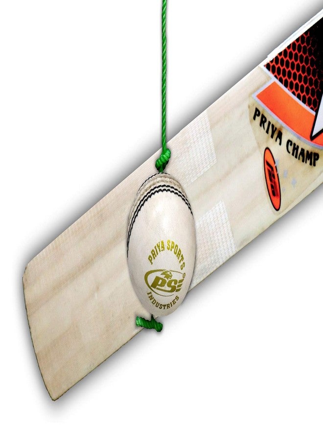 PSE Priya Sports White Practice Hanging Cricket Ball for Bat Knocking - Image 3