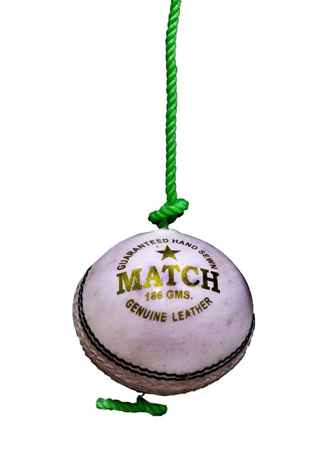PSE Priya Sports White Practice Hanging Cricket Ball for Bat Knocking - Image 1