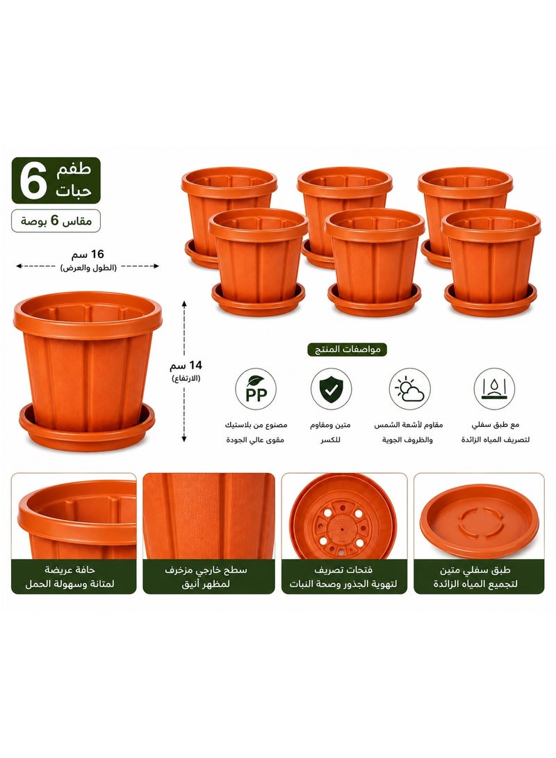 كوزموبلاست أصيص زهور كوزموبلاست سيدرجرين مع صينية، 6 قطعة، 6 بوصة، باللون البني - Image 2
