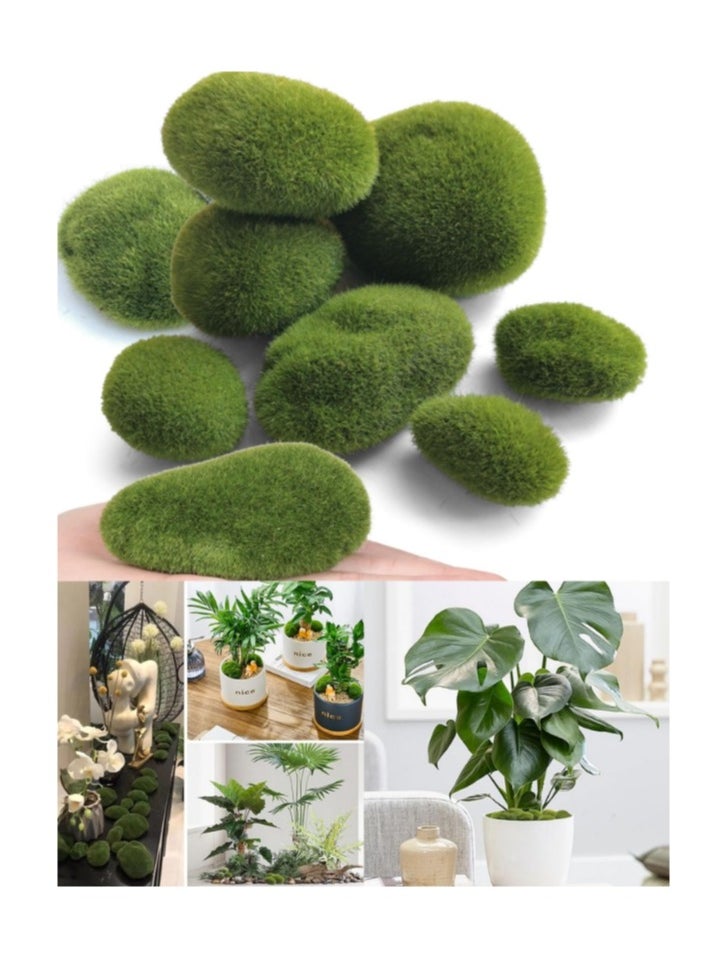 OASIS-TH 10 Pcs Moss Craft Moss Balls Live Moss Balls for Fish Tank  Landscape Moss Decorative Moss Rocks Bonsai Moss Glass Container Simulation Moss Stone  - Image 1