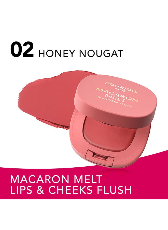 BOURJOIS PARIS Macaron Melt Lip And Cheek Flush - 2 - Honey Nougat, 5Gram - Image 3