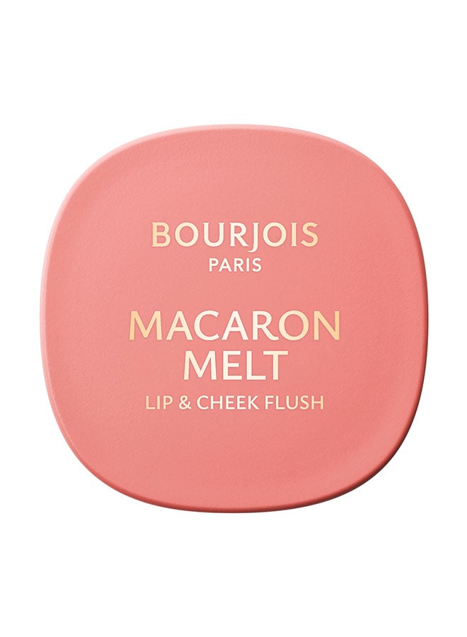 BOURJOIS PARIS Macaron Melt Lip And Cheek Flush - 2 - Honey Nougat, 5Gram - Image 2