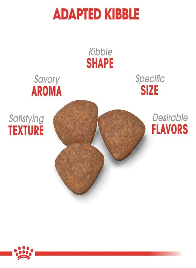 رويال كانين طعام الكلاب الجاف رويال كانين سايز هيلث نيوتريشن للجراء الصغيرة، كيس 4 أرطال - Image 2