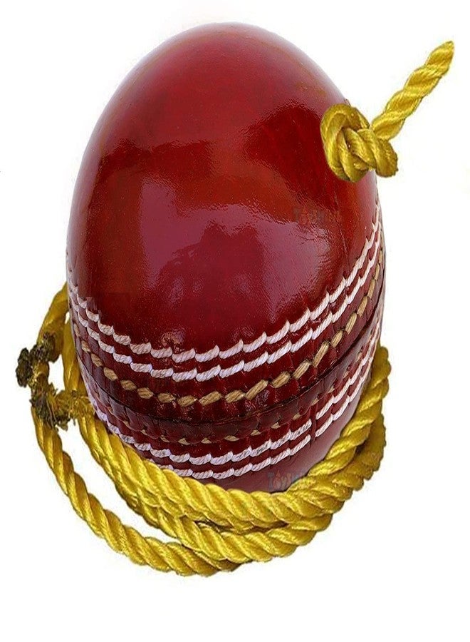 HIRNOTS Leather Cricket Shot Practice Hanging Ball, String Cricket Ball with Rope (Pack of 1) - Image 3