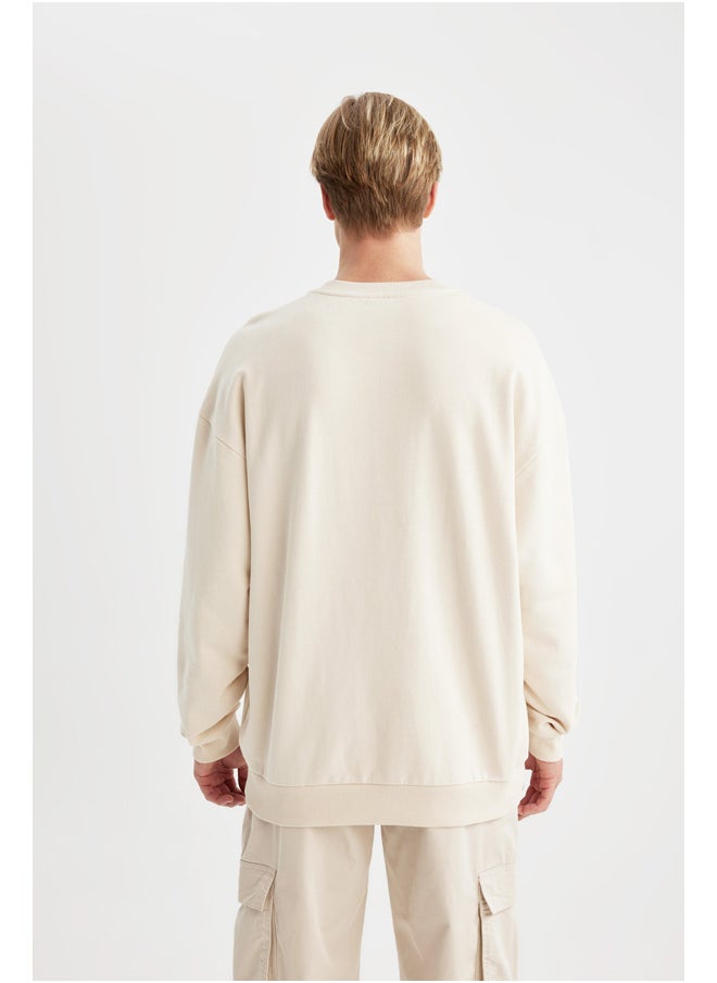 DeFacto - Man Oversize Fit Crew Neck Long Sleeve Knitted Sweat Shirt - Image 1