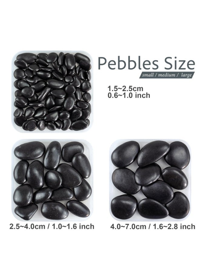 MirageBotanics 1-5Kg Black Pebbles for Indoor Plants, River Rocks for Landscaping, 1.5-7.0cm Decorative Rocks for Planters and Pot, High Polished Stones for Vase Filler Fish Tank Garden - Image 2