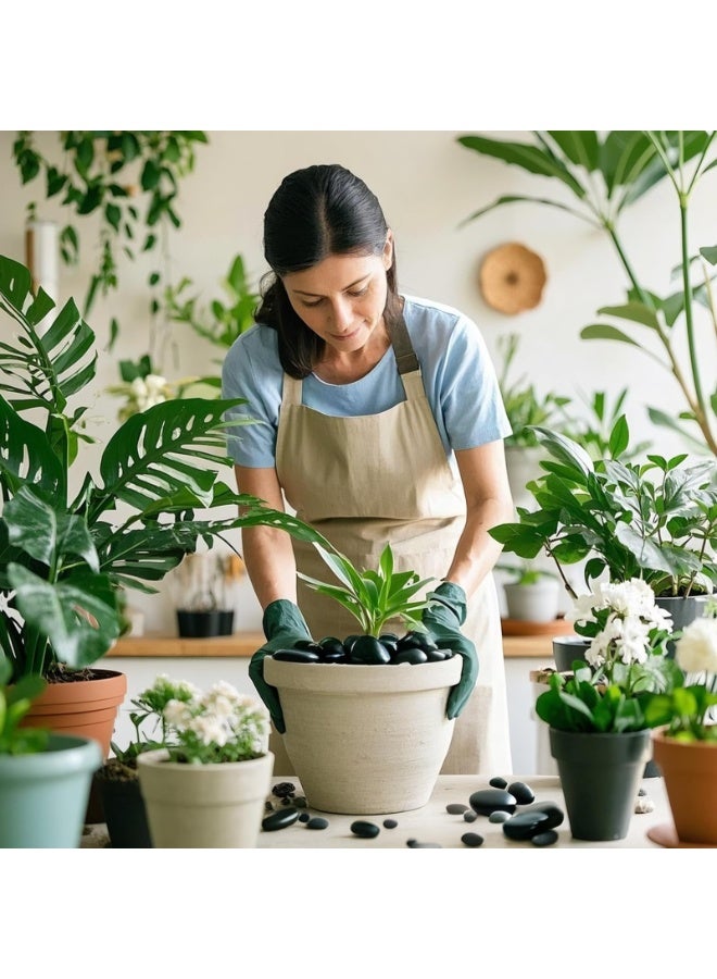 MirageBotanics 1-5Kg Black Pebbles for Indoor Plants, River Rocks for Landscaping, 1.5-7.0cm Decorative Rocks for Planters and Pot, High Polished Stones for Vase Filler Fish Tank Garden - Image 4