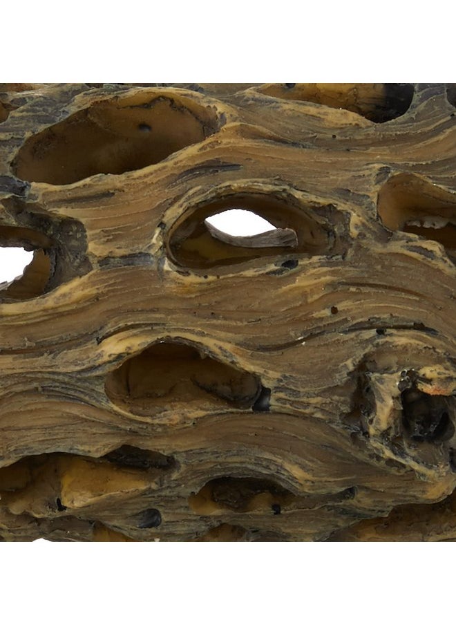 Exo Terra - Exo Terra Cholla Cactus Skeleton, Small - Image 1