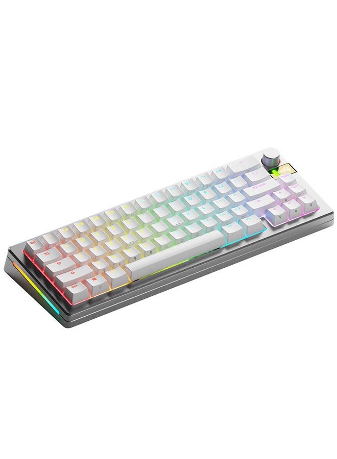 Glorious GMMK 3 PRO HE Wireless Gaming Keyboard - Rapid Trigger, Hall Effect, 8K Polling, Adjustable Actuation, 65% Compact, Aluminum (Silver) - Image 1
