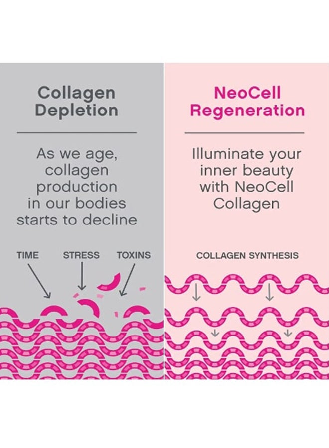 نيوسيل مسحوق سوبر كولاجين (النوع 1و3) يحتوي على 10 جم ببتيدات كولاجين بحجم 7 أوقيات بدون نكهة - Image 5