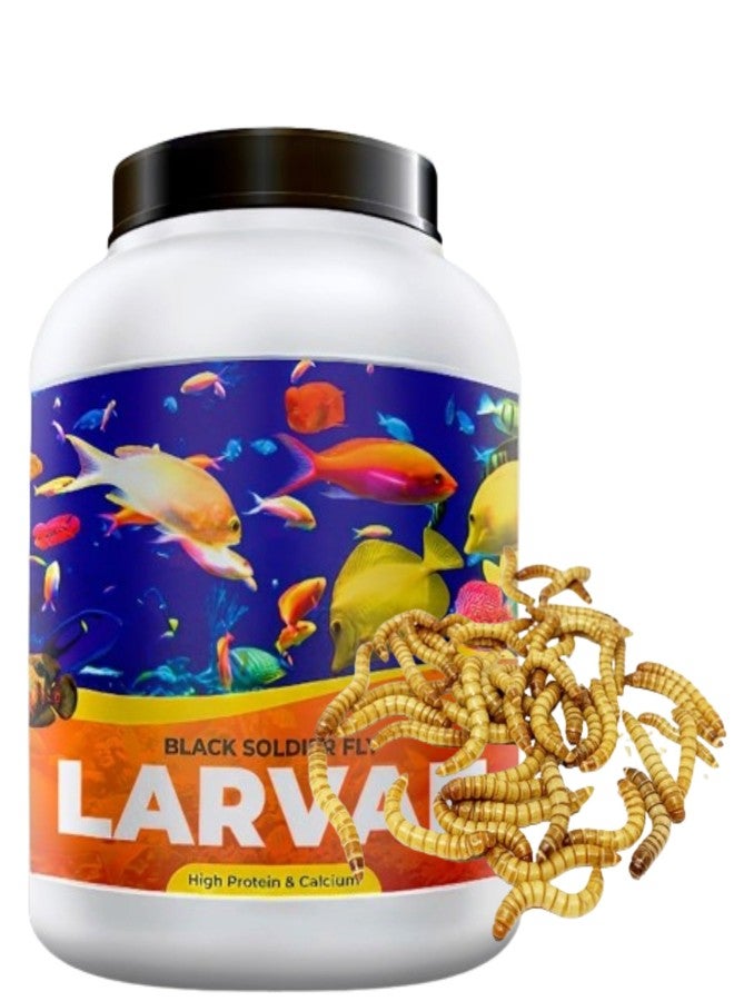 يرقات ذبابة الجندي الأسود نيتيشري® | 100 غرام | 60 ضعف الكالسيوم الموجود في ديدان الوجبة، و40% بروتين، غذاء غني للأسماك، مناسب لأسماك الأوسكار، والأروانا، والفلاور هورن، والسلاحف البالغة، والسلاحف البرية. - Image 1