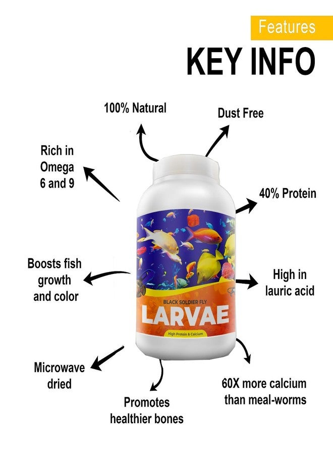 يرقات ذبابة الجندي الأسود نيتيشري® | 100 غرام | 60 ضعف الكالسيوم الموجود في ديدان الوجبة، و40% بروتين، غذاء غني للأسماك، مناسب لأسماك الأوسكار، والأروانا، والفلاور هورن، والسلاحف البالغة، والسلاحف البرية. - Image 4