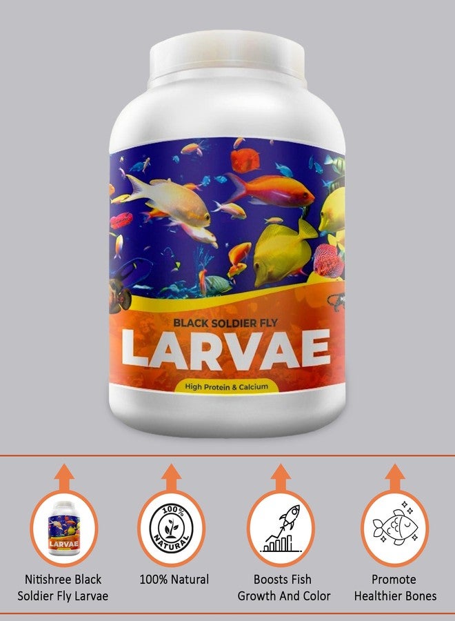 يرقات ذبابة الجندي الأسود نيتيشري® | 100 غرام | 60 ضعف الكالسيوم الموجود في ديدان الوجبة، و40% بروتين، غذاء غني للأسماك، مناسب لأسماك الأوسكار، والأروانا، والفلاور هورن، والسلاحف البالغة، والسلاحف البرية. - Image 2