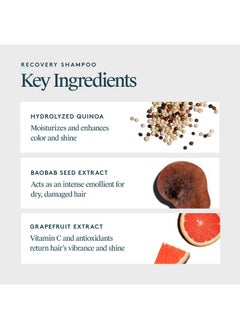 VIRTUE Virtue Recovery Sulfate Free Shampoo with Keratin and Baobab Seed Oil for Damaged Hair, Color Safe  - Image 3