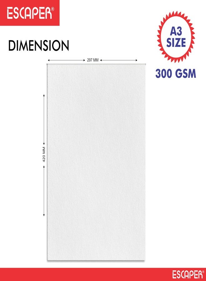 ESCAPER ورق ألوان مائية ESCAPER 300 جرام/متر مربع، مصنوع يدويًا بتقنية الضغط البارد، مناسب للفنانين، مقاسات A3 و A4، خالٍ من الأحماض، سطح محكم للرسم والتلوين وفنون الأطفال والحرف اليدوية والوسائط المتعددة (عبوة من 5 قطع A3) - Image 2