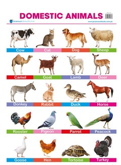 pet animals chart