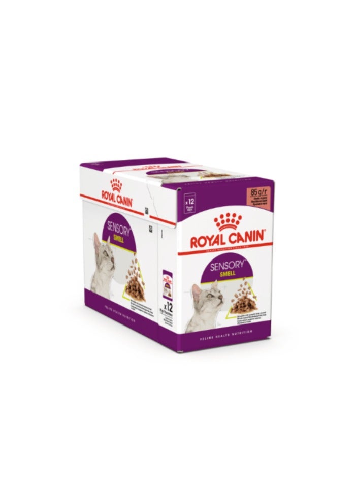 رويال كانين - التغذية الصحية للقطط بالرائحة الحسية (12x85 جم - المرق)