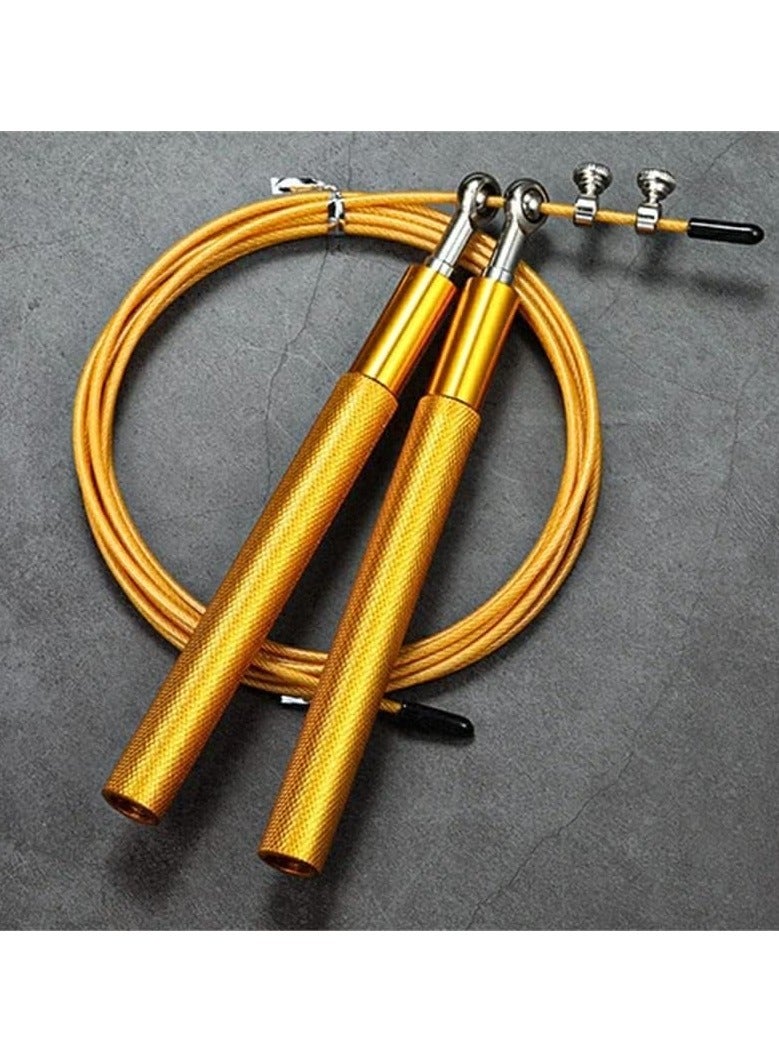 Stainless Steel Jump Rope With Metal Handle Adjustable Length - Image 1