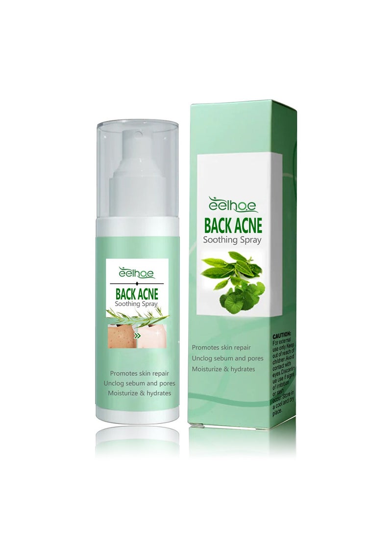 EELHOE 120ML Back Acne Soothing Spray, Clarifying Body Spray – With 2% Salicylic Acid & Tea Tree Oil, Refreshing Herbal Formula for Smooth & Balanced Skin, Fast-Absorbing & Non-Greasy Mist for Daily Skin Care - Image 1