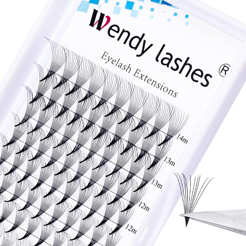 WENDY LASHES Volume Lash Extensions 10D Premade Fans Eyelash Extensions 007mm Thickness CD Curl Short Stem Premade Volume Eyelash Extensions Pointed Base Fans by WENDY LASHES10D007D 814mm Mixed Tray